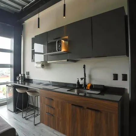 Beautiful And Elegant Private Loft Near Coyoacan